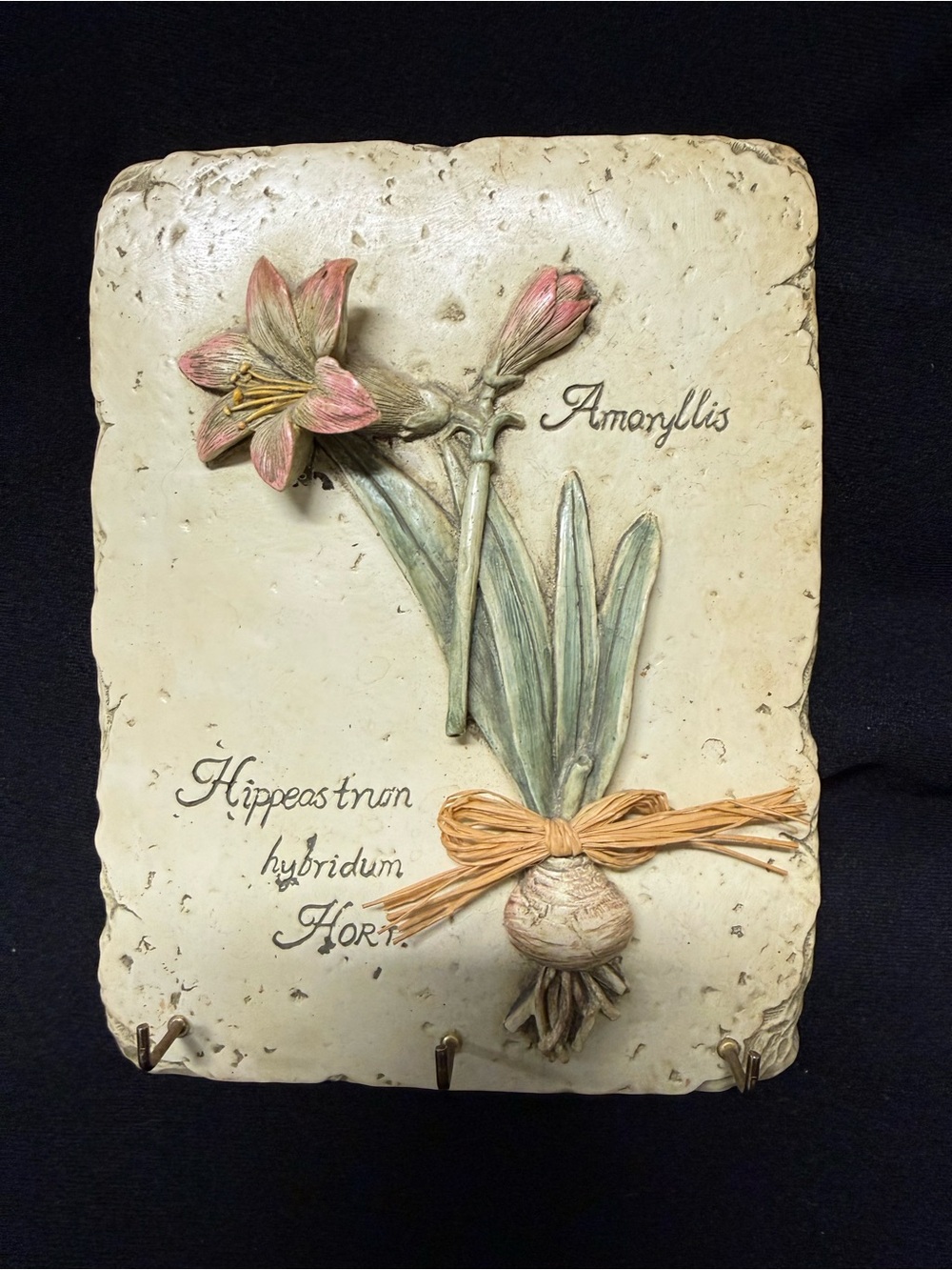 Key holder plaque botanical Amaryllis 3 hooks 3D